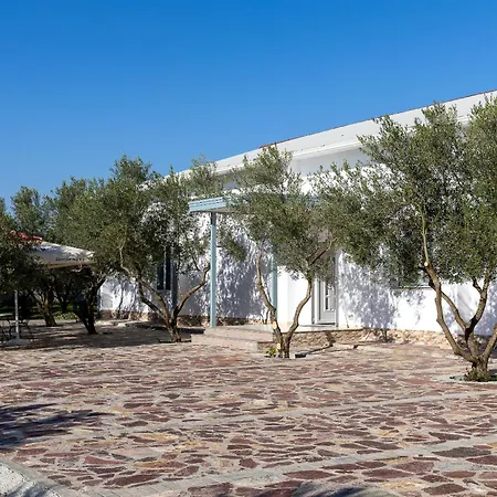 Paradise Shkodër
